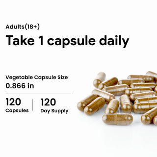 Nutridom Saw Palmetto, 4000 mg, 120 Vegetable Capsules (Maximum Strength)
