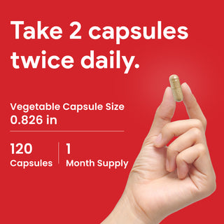 Nutridom 蒲公英根提取物，500 毫克，120 粒素食胶囊