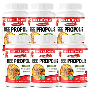 Nutridom Bee Propolis, 500 mg, 120 Veggie Capsules - 6 PACK