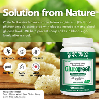 Glucogreen Glucose Control 500mg 60 Vcaps - 3Pack - CAFORIA.CA