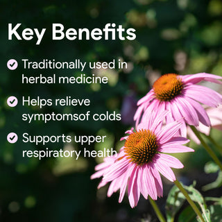 Nutridom Kids Echinacea 10x Drop 60ml (Respiratory Support, Alcohol & Sugar Free, *Natural Orange Flavour)