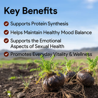 Inca Maca Black with L-Arginine, 200mg, 90 Vegetable Capsules (4x Concentrated, Sexual Health Support)