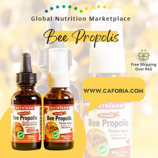 Nutridom Bee Propolis Liquid, Alcohol Free , 1 fl oz (30 ml) - CAFORIA.CA