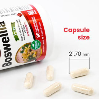 Nutridom Boswellia Serrata, 40% Boswellic Acids, 90 Veggie Capsules - CAFORIA.CA