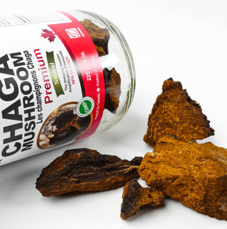 Nutridom Canadian Chaga Mushroom, Chunks, 8 oz (225g) - CAFORIA.CA