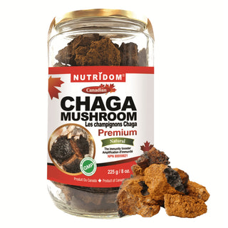 Nutridom Canadian Chaga Mushroom, Chunks, 8 oz (225g) - CAFORIA.CA