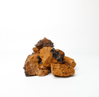 Nutridom Canadian Chaga Mushroom, Chunks, 8 oz (225g) - CAFORIA.CA