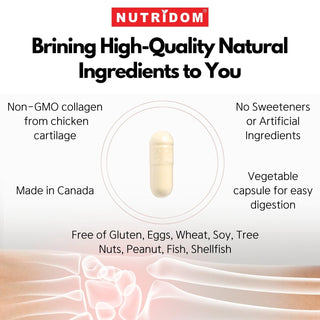 Nutridom Collagen 3000, Type II, 500 mg, 180 Veggie Capsules - CAFORIA.CA