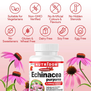 Nutridom Echinacea Purpurea, 5,500 mg, 60 Veggie Capsules - CAFORIA.CA