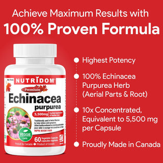 Nutridom Echinacea Purpurea, 5,500 mg, 60 Veggie Capsules - CAFORIA.CA