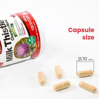 Nutridom Milk Thistle, 80% Silymarin, 250 mg, 120 Veggie Capsules - CAFORIA.CA