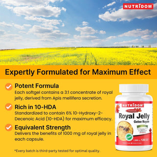 Nutridom Royal Jelly, 1,000 mg, 120 Softgels - CAFORIA.CA