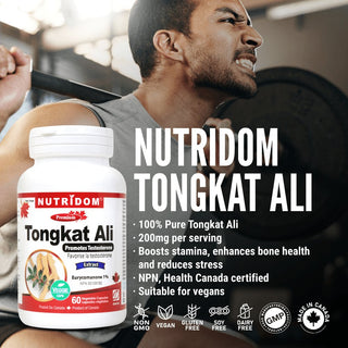 Nutridom Tongkat Ali, 200 mg, 1% Eurycomanone, 60 Veggie Capsules - CAFORIA.CA