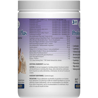 Omega Alpha - Probiotic 8 Plus for Dog and Cat, 310g - Dog Probiotics Digestive Enzymes with Probiotics and Prebiotics, Antioxidant, Trace Minerals, Essential Fatty Acids and Support Immune System - CAFORIA.CA